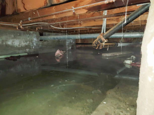 Local water damage restoration in OH
