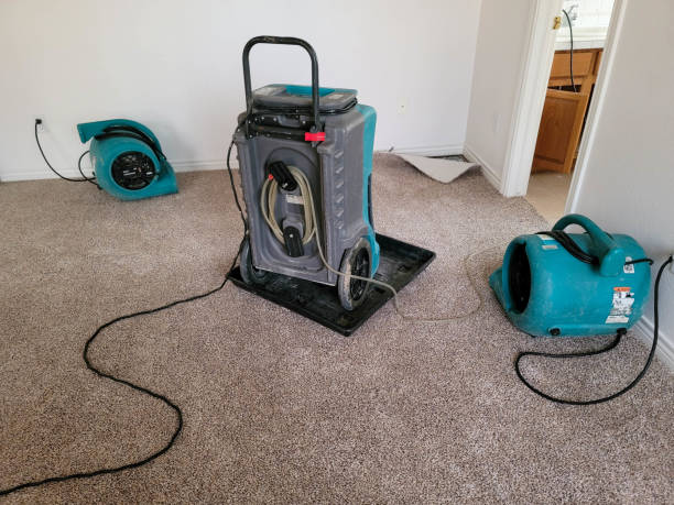 Best Water damage restoration near me  in Parma Heights, OH