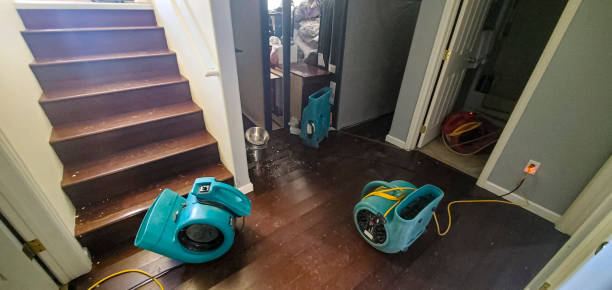  Parma Heights, OH Water damage restoration Pros