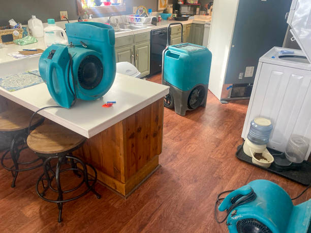 Best 24/7 water damage repair  in Parma Heights, OH