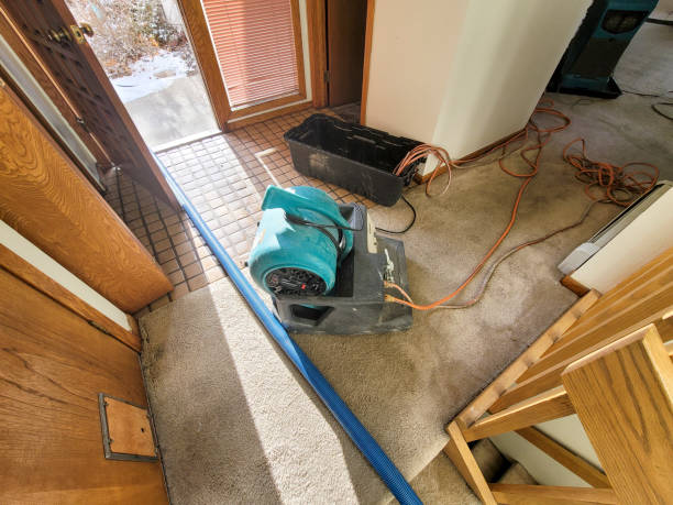 Best Basement water damage restoration  in Parma Heights, OH