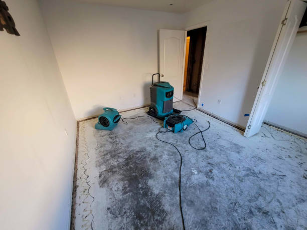 Best Emergency water damage restoration  in Parma Heights, OH