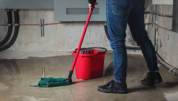 Best Flood restoration services  in Parma Heights, OH