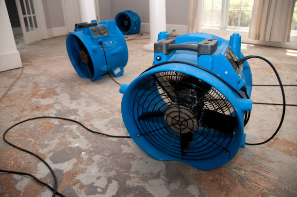 Best Fire Damage Restoration  in Parma Heights, OH