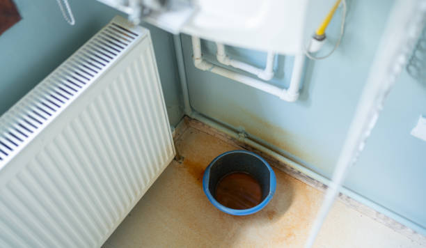 Best Ceiling water damage repair  in Parma Heights, OH