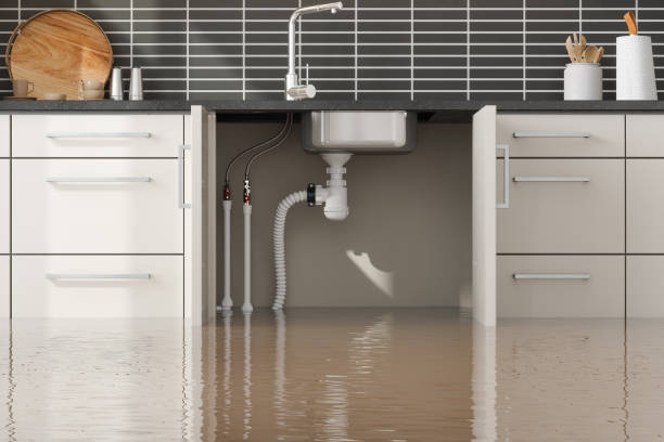 Best Commercial water damage restoration  in Parma Heights, OH