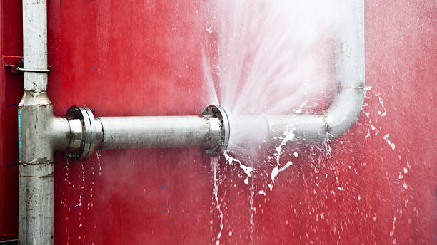 Best Water damage contractors near me  in Parma Heights, OH